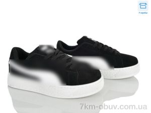 купить оптом Ledicai R505-1