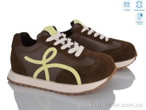 купить Захар-Gold IG711-5 оптом