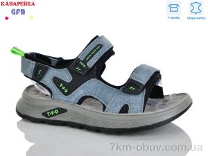купить GFB-Канарейка R825-5 оптом