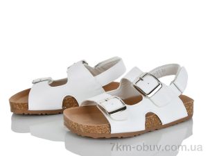 купить KIMBOO FG610-2C оптом