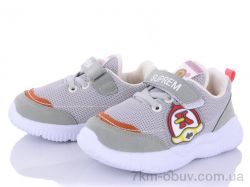 купить Class Shoes B636 оптом