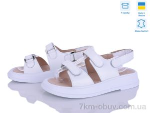 купить Ailinda 718-8A оптом