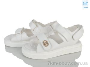 купить Захар-Gold K63-2 піна оптом