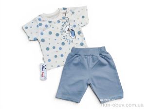 купить оптом Kids-modnik 2610 комплект для малюків футболка-шорти сірий
