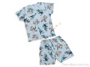 купить Kids-modnik 2620-1 комплект футболка-шорти сірий оптом