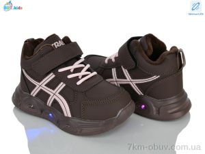купить BBT R888-2-6 LED оптом