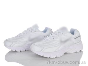 купить Olimp B401-4 оптом
