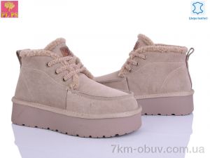 купить PLPS A3306 apricot оптом