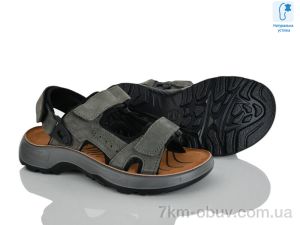 купить оптом KIMBOO T62-3L