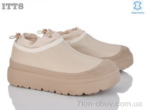 купить ITTS KT93-E оптом