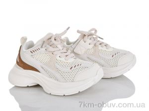 купить KIMBOO Z635-2K оптом