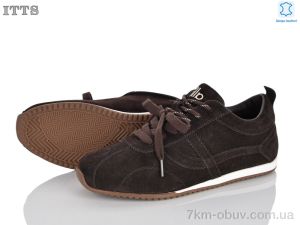 купить ITTS SV260-41 оптом