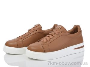 купить Захар-Gold F453-8 піна оптом