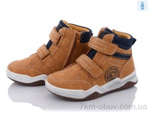 купить С.Луч Q2230-3 оптом