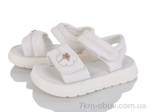 купить оптом KIMBOO XD607-2C