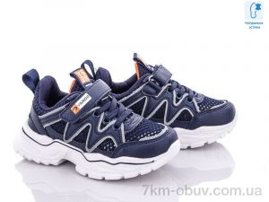 купить С.Луч L284-1 оптом