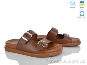 купить Ailinda 307-43 оптом