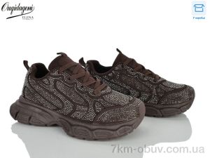 купить Dageni 98029-9 оптом