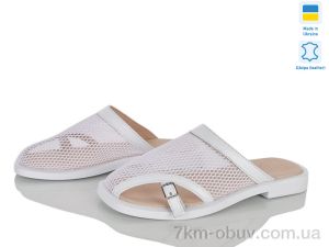 купить Ailinda 483-8 оптом