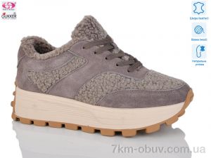 купить Gukkcr ZT8170 оптом