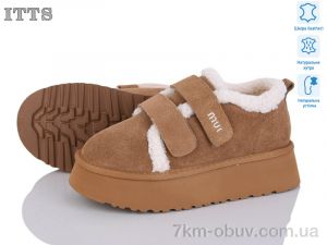 купить ITTS F252-20 оптом