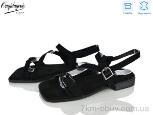 купить Dageni F247-8 оптом