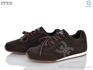 купить ITTS SV261-41 оптом