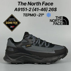 купить Classica A9151-2 оптом