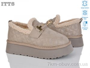 купить ITTS F256-5 оптом