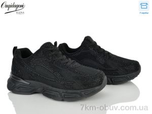 купить оптом Dageni C98025-1