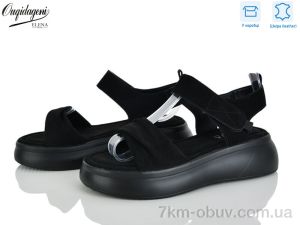 купить Dageni F231-8A оптом