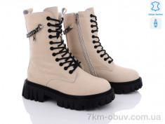 купить ITTS DW5018-8 оптом