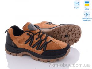 купить Favorit FYB10014-3 оптом