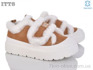 купить ITTS KT91-20 оптом