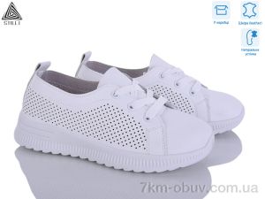 купить STILLI Group P80-3 шкіра оптом