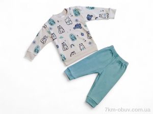 купить оптом Kids-modnik 35601 бірюзовий реглан-штани