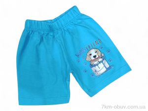 купить Kids-modnik 5144 св.бірюзовий оптом