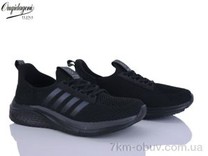 купить оптом Dageni A2590-7