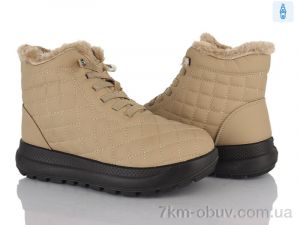 купить Baolikang 60955 beige оптом