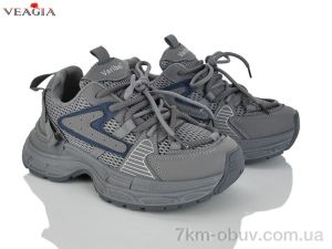 купить Veagia-ADA VK10-5 оптом