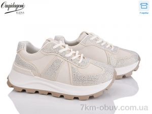 купить Dageni M6610-3 оптом