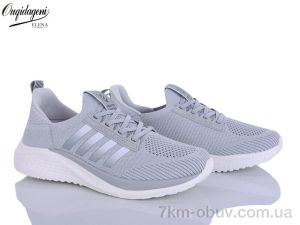 купить оптом Dageni A2590-14