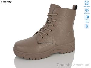 купить Trendy DH3875 brown оптом