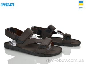 купить оптом Lvovbaza Paolla D02 коричневий