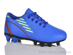 купить ASHIGULI C03-3 (31-36) оптом