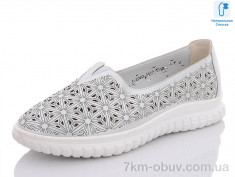 купить MOLO 291L-5 оптом