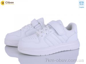 купить Clibee EC682-1 white оптом