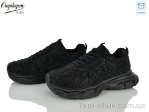 купить Dageni 98028-1 оптом