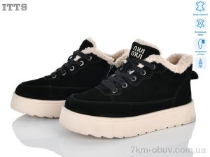 купить ITTS DD7636-2 оптом