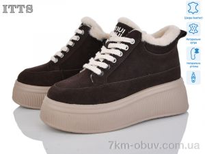 купить ITTS DD7578-41 оптом